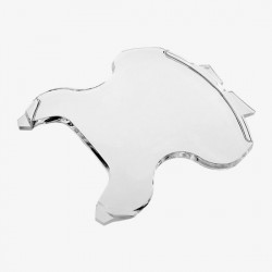 Display Shield Cobra2/3 (1 pc)